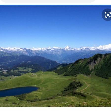 Studio Cabine Praz De Lys Taninges Kültér fotó