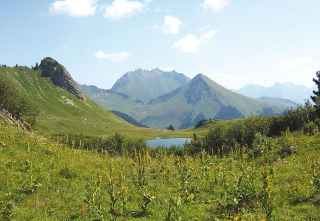 Studio Cabine Praz De Lys Taninges Kültér fotó