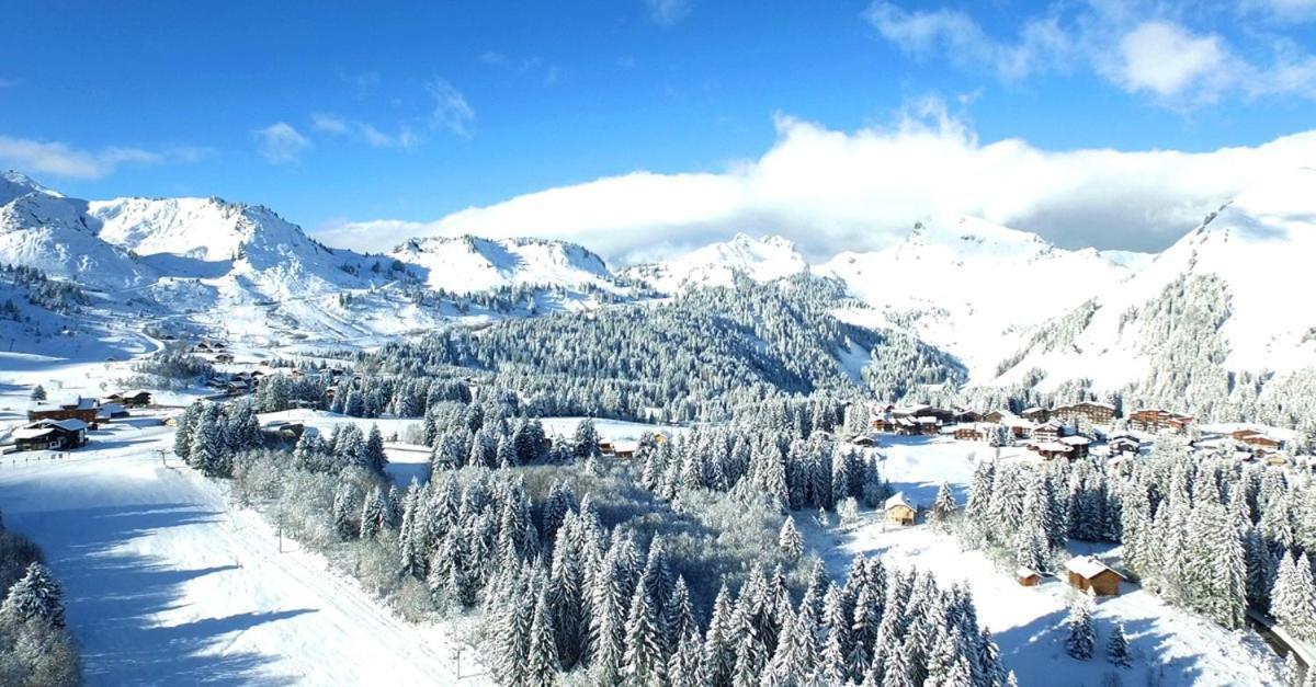 Studio Cabine Praz De Lys Taninges Kültér fotó