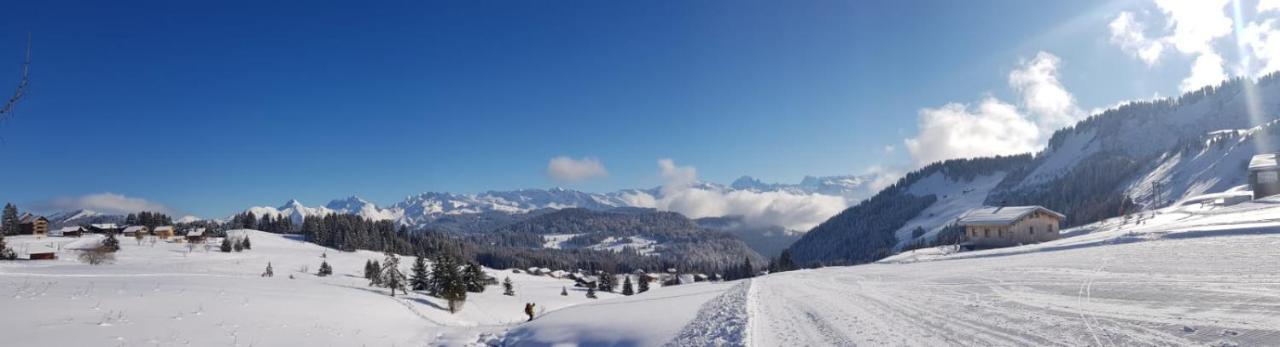Studio Cabine Praz De Lys Taninges Kültér fotó