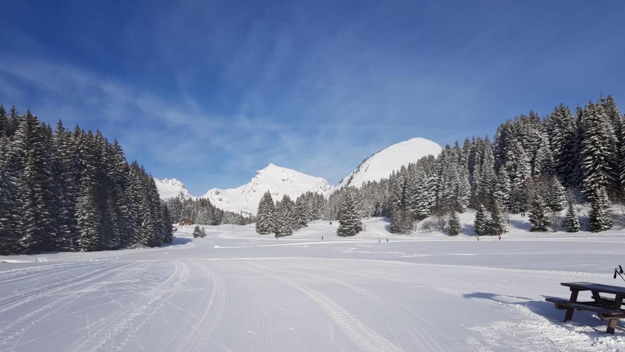 Studio Cabine Praz De Lys Taninges Kültér fotó
