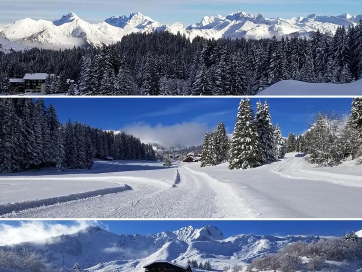 Studio Cabine Praz De Lys Taninges Kültér fotó