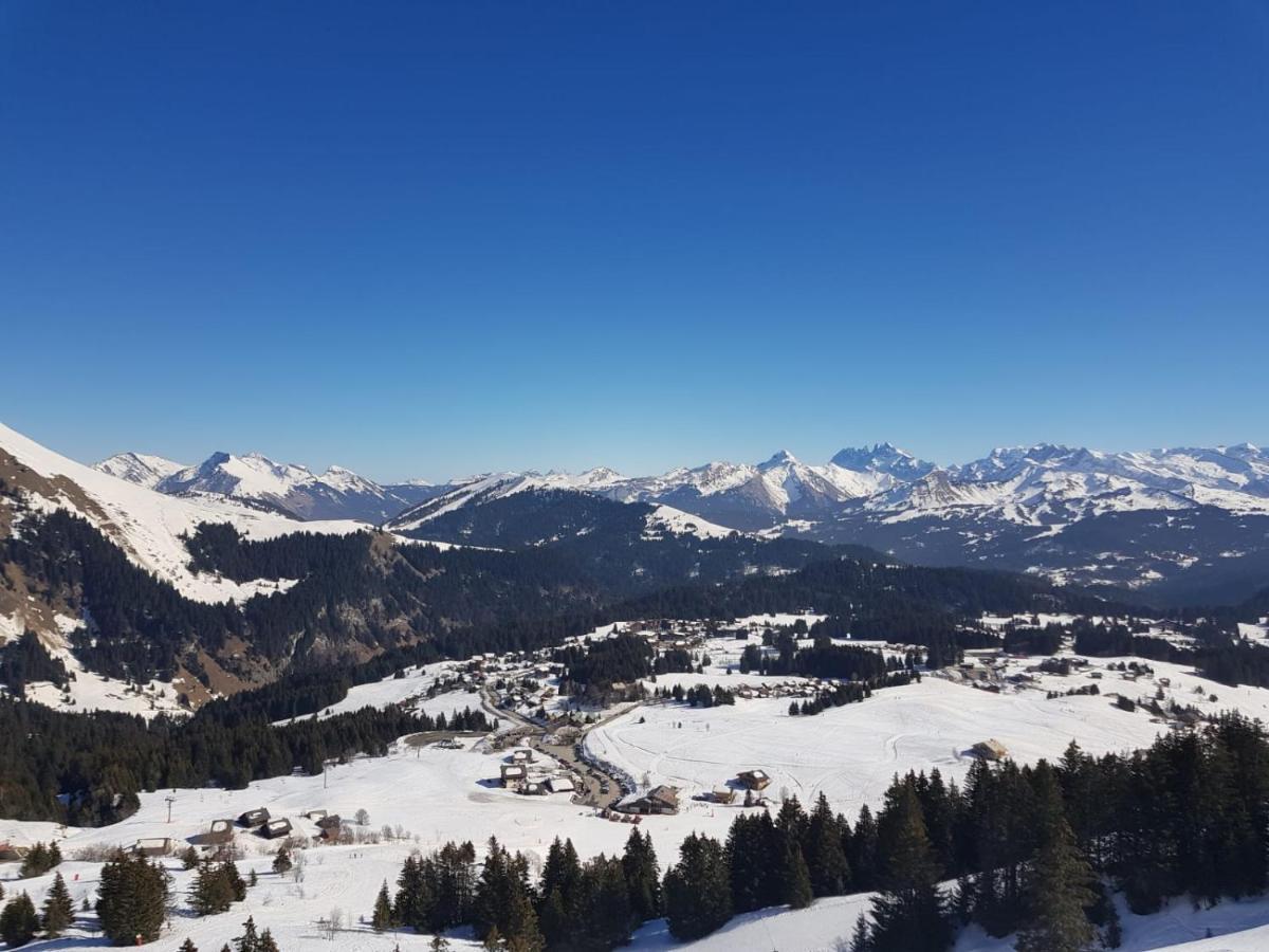 Studio Cabine Praz De Lys Taninges Kültér fotó