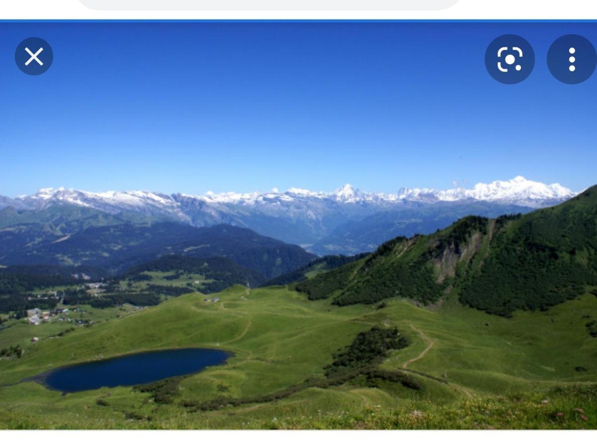 Studio Cabine Praz De Lys Taninges Kültér fotó