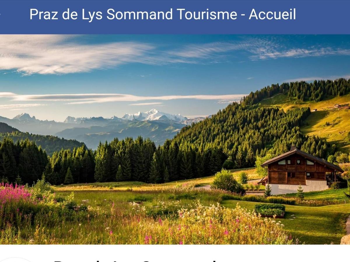 Studio Cabine Praz De Lys Taninges Kültér fotó